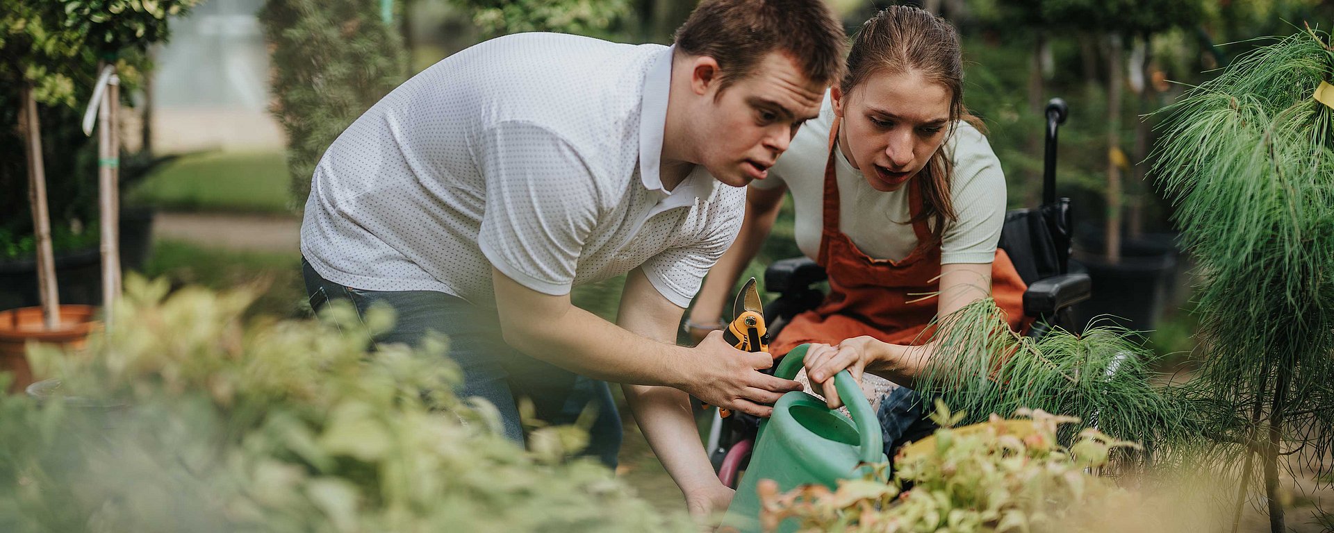 Ein Mann und eine Frau im Rollstuhl gießen gemeinsam Pflanzen in einem Gartencenter und sind ganz auf ihre Aufgabe konzentriert.