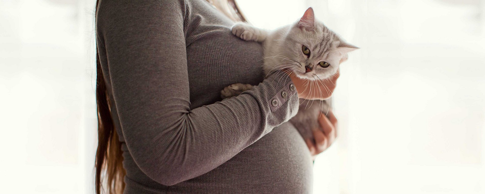 Eine schwangere Frau in einem grauen Oberteil, die eine weiße Katze fest an ihre Brust drückt; im Hintergrund sanftes Licht.